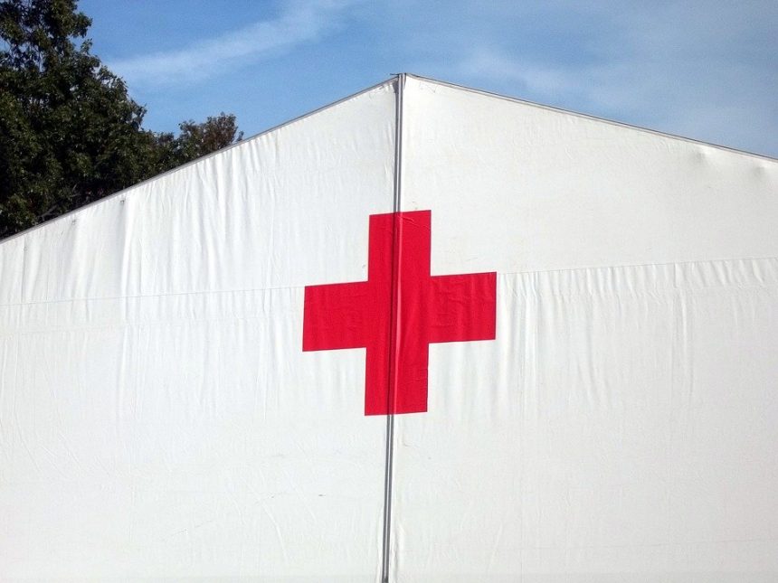 Francisco: ora por los trabajadores de la Cruz Roja y la Media Luna Roja